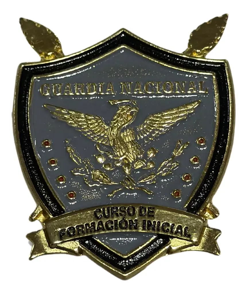INSIGNIA CURSO DE FORMACIÓN INICIAL PICACHU GN 